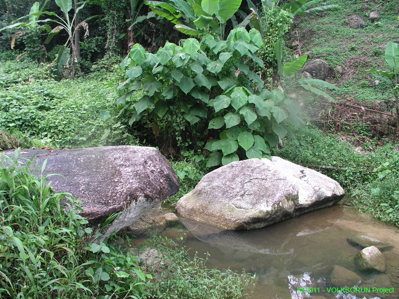 weather forecast for Malaysian jungle27